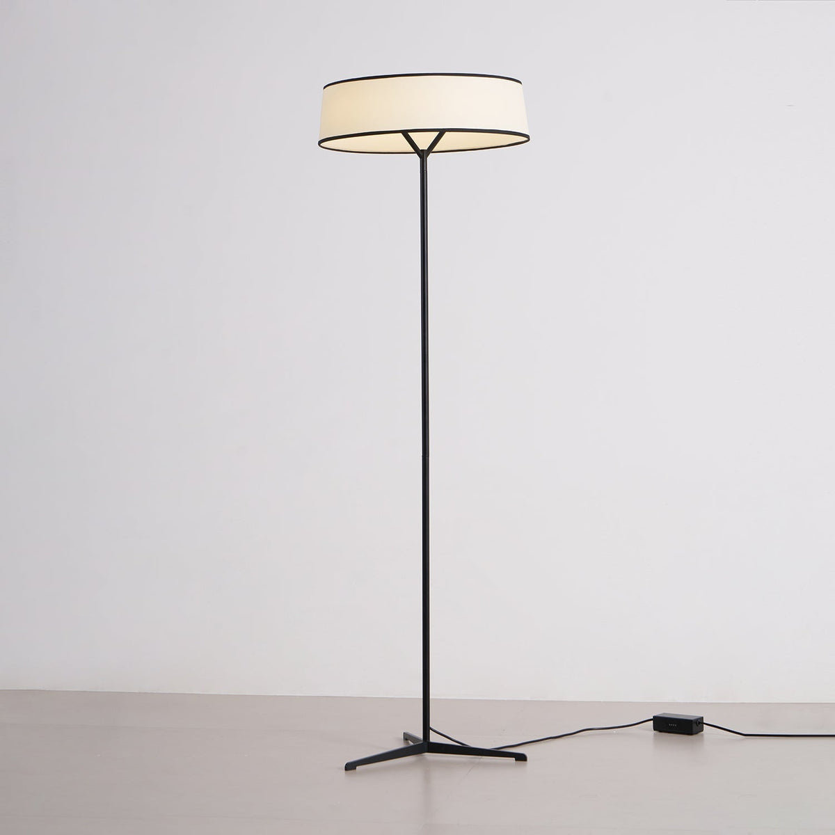 Zemaryre Modern Floor Lamp
