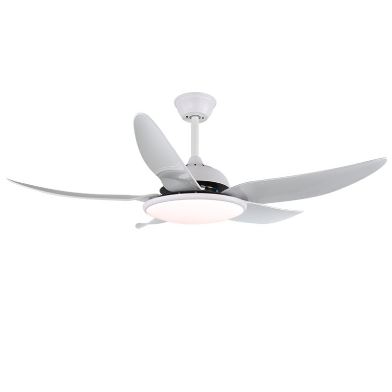 Aquila Modern Ceiling Fan Light