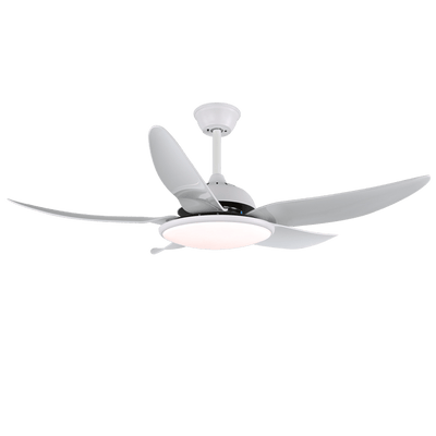 Aquila Modern Ceiling Fan Light