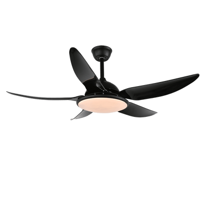 Aquila Modern Ceiling Fan Light
