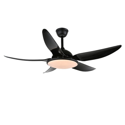 Aquila Modern Ceiling Fan Light