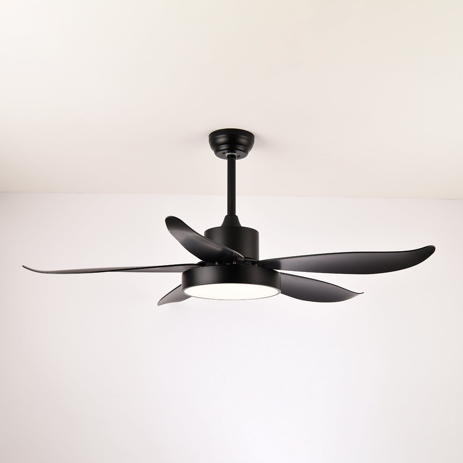 Selalise Modern Ceiling Fan Light