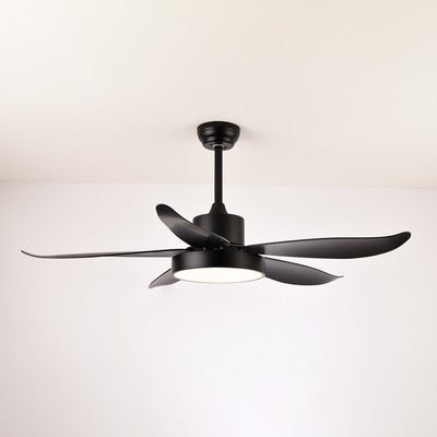 Selalise Modern Ceiling Fan Light