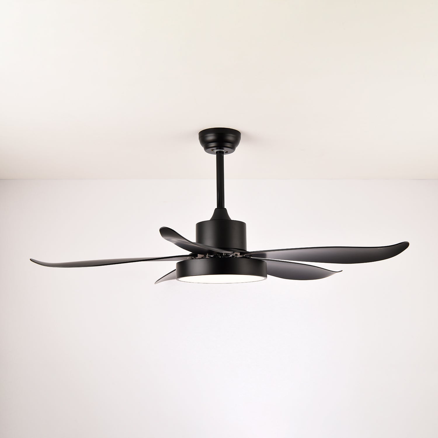 Selalise Modern Ceiling Fan Light
