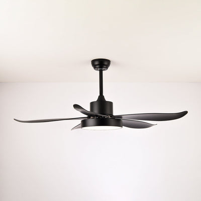 Selalise Modern Ceiling Fan Light