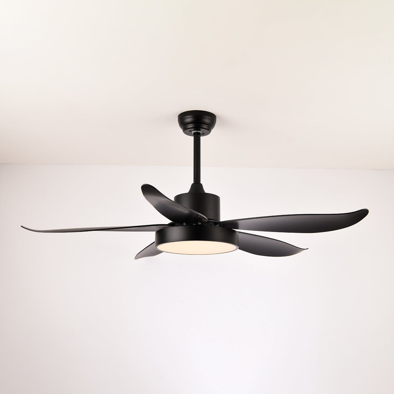 Selalise Modern Ceiling Fan Light