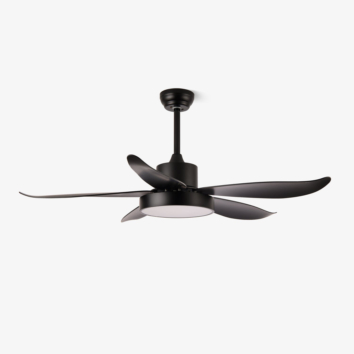 Selalise Modern Ceiling Fan Light