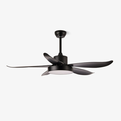 Selalise Modern Ceiling Fan Light