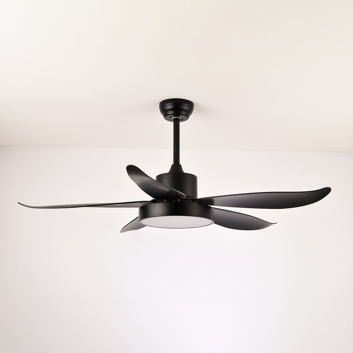 Selalise Modern Ceiling Fan Light