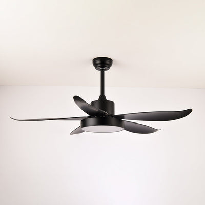 Selalise Modern Ceiling Fan Light