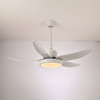 Selalise Modern Ceiling Fan Light