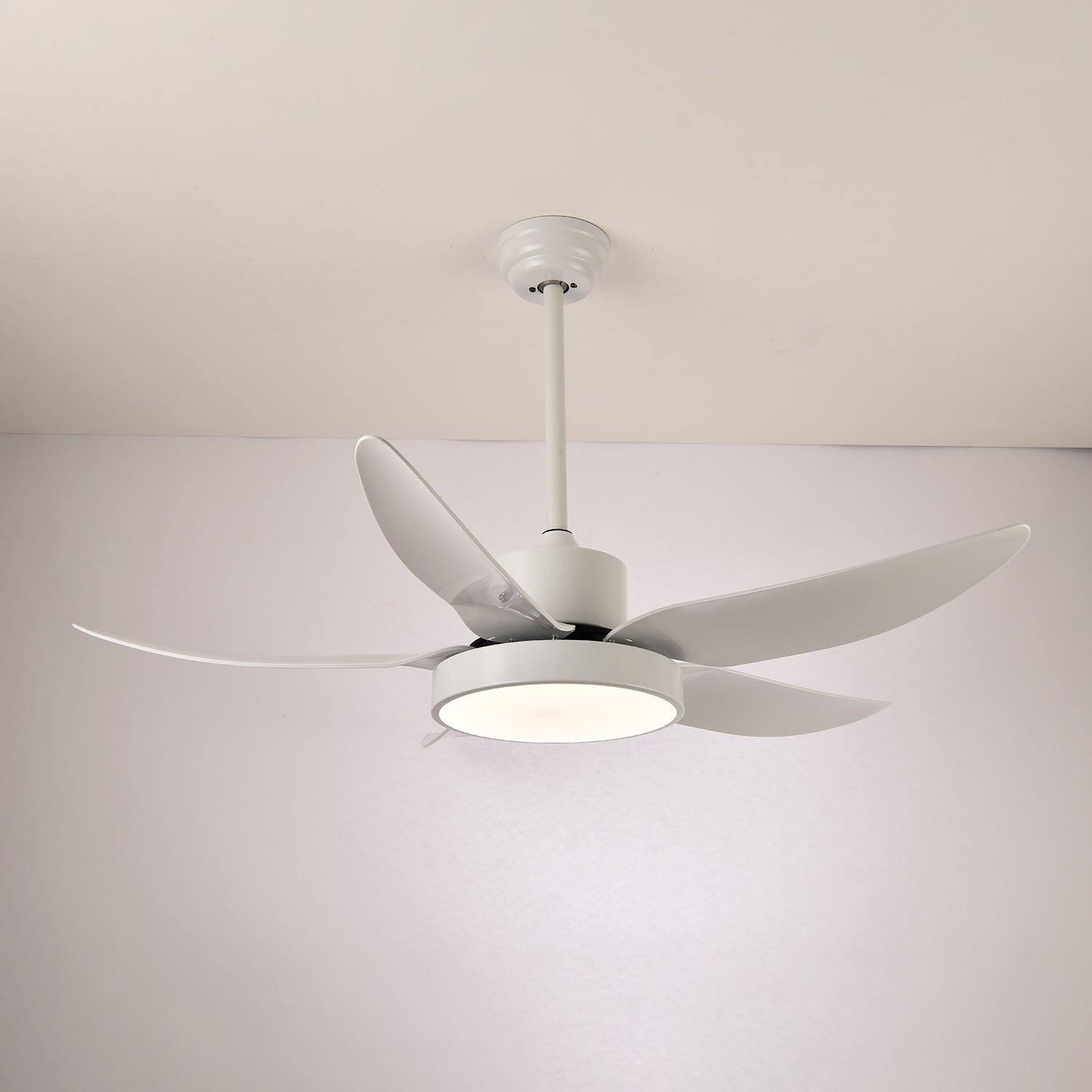 Selalise Modern Ceiling Fan Light