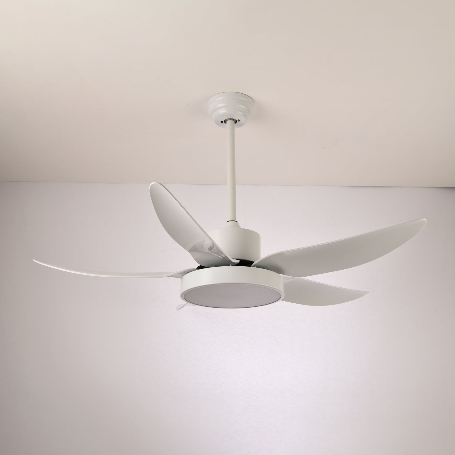 Selalise Modern Ceiling Fan Light