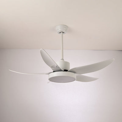 Selalise Modern Ceiling Fan Light