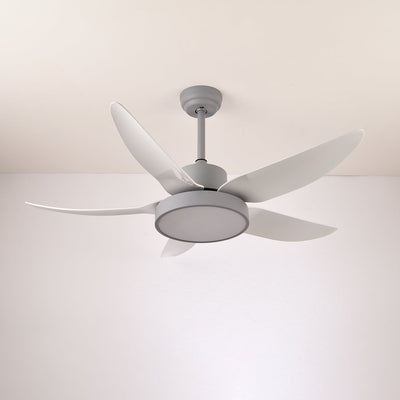 Selalise Modern Ceiling Fan Light