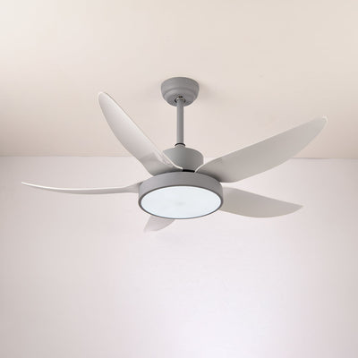 Selalise Modern Ceiling Fan Light