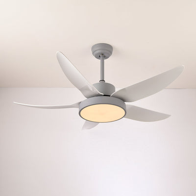 Selalise Modern Ceiling Fan Light