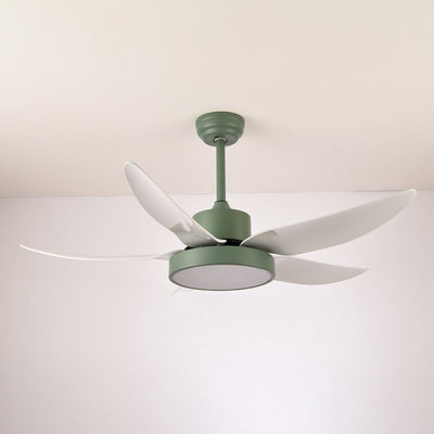 Selalise Modern Ceiling Fan Light