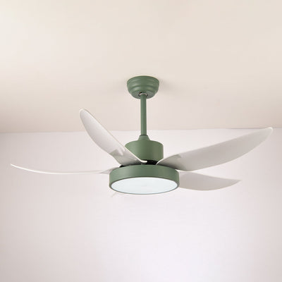 Selalise Modern Ceiling Fan Light