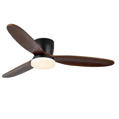 Athyrs Ceiling Fan Light