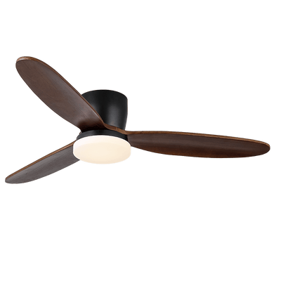 Athyrs Ceiling Fan Light