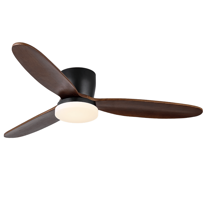 Athyrs Ceiling Fan Light