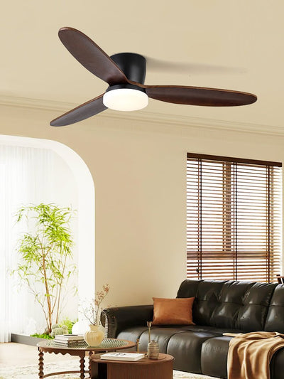 Athyrs Ceiling Fan Light