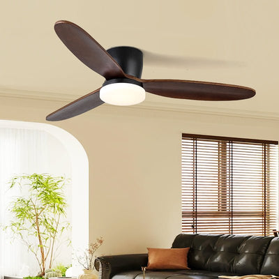 Athyrs Ceiling Fan Light
