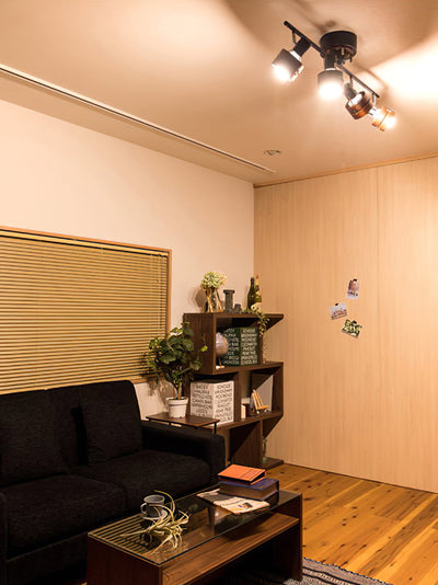 Lumarine Ceiling Lamp