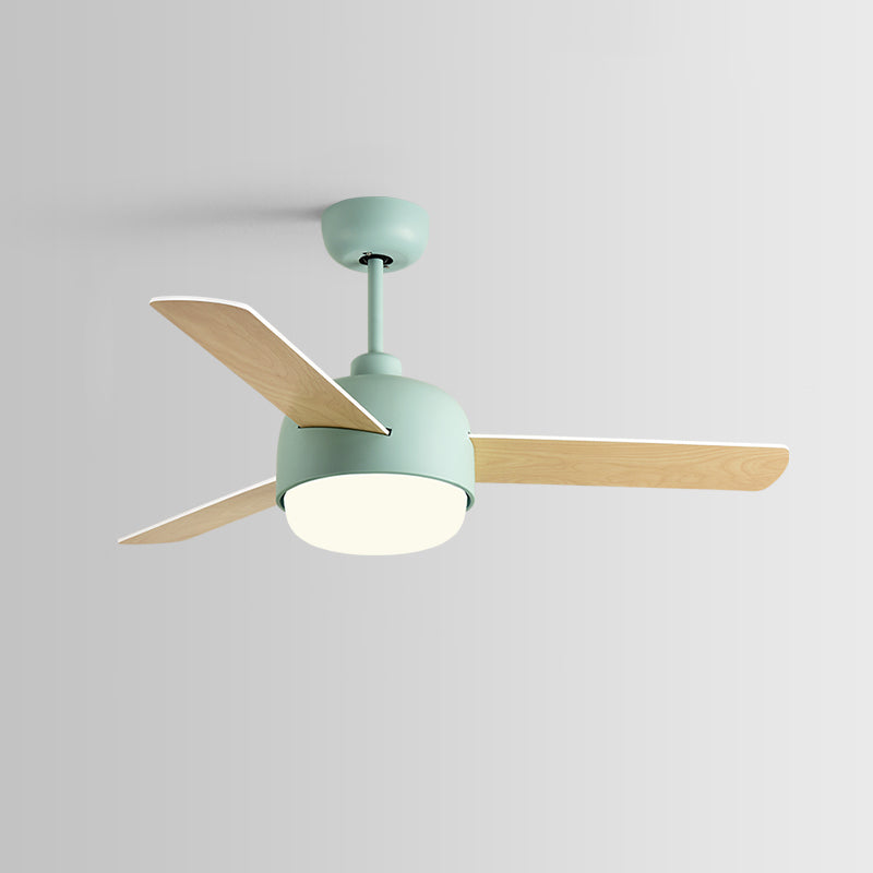 Cirareon Ceiling Fan Light