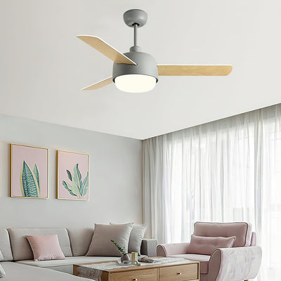 Cirareon Ceiling Fan Light