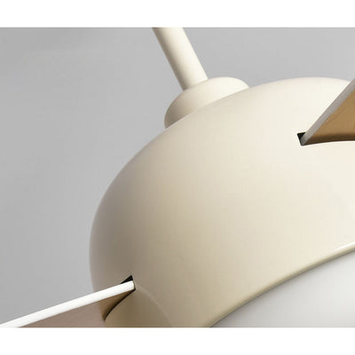 Cirareon Ceiling Fan Light
