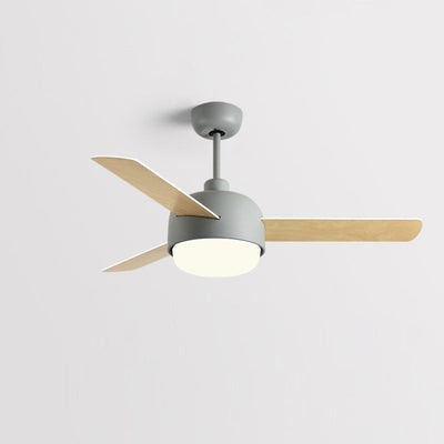 Cirareon Ceiling Fan Light