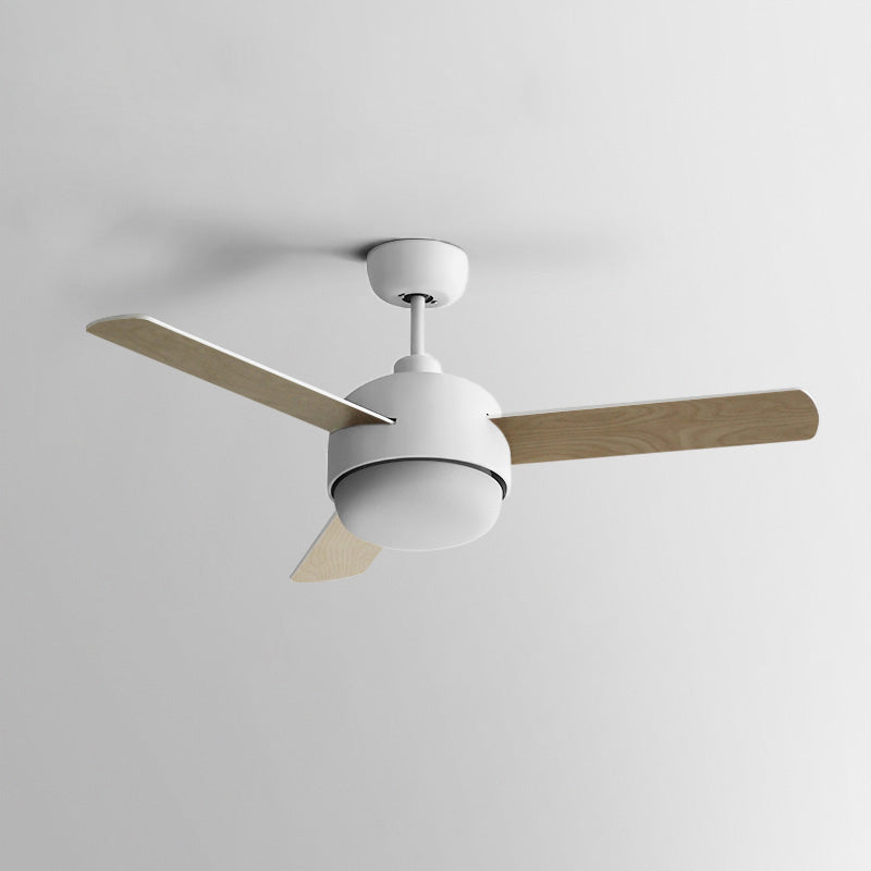 Cirareon Ceiling Fan Light
