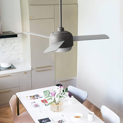 Cirareon Ceiling Fan Light