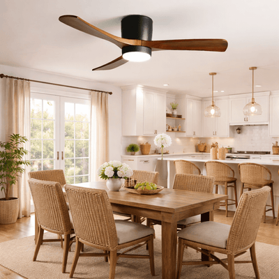 Elaerine Ceiling Fan Light