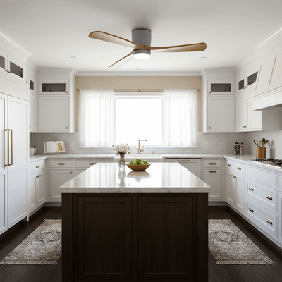 Elaerine Ceiling Fan Light