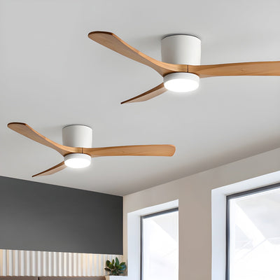 Elaerine Ceiling Fan Light