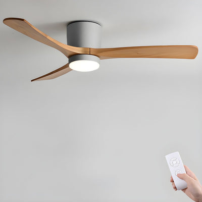 Elaerine Ceiling Fan Light
