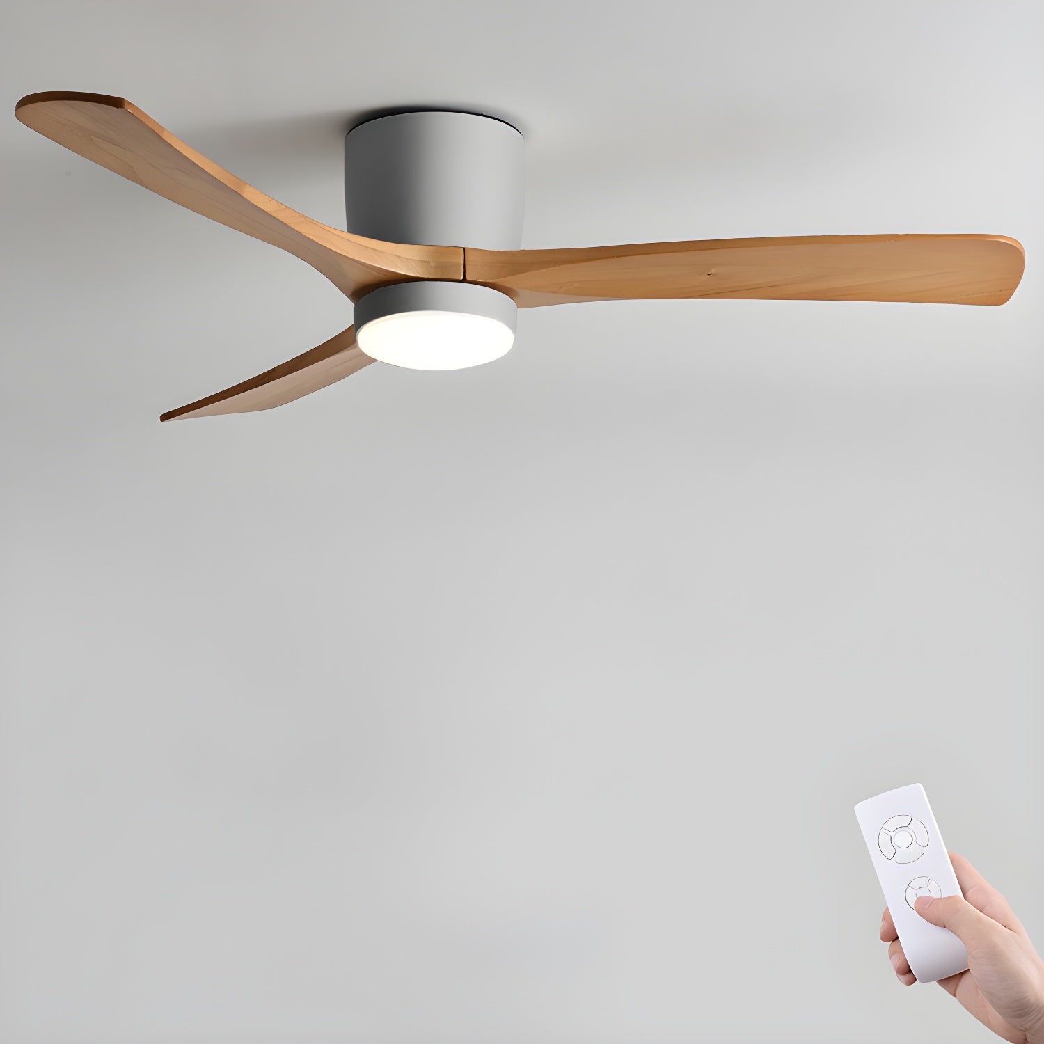 Elaerine Ceiling Fan Light