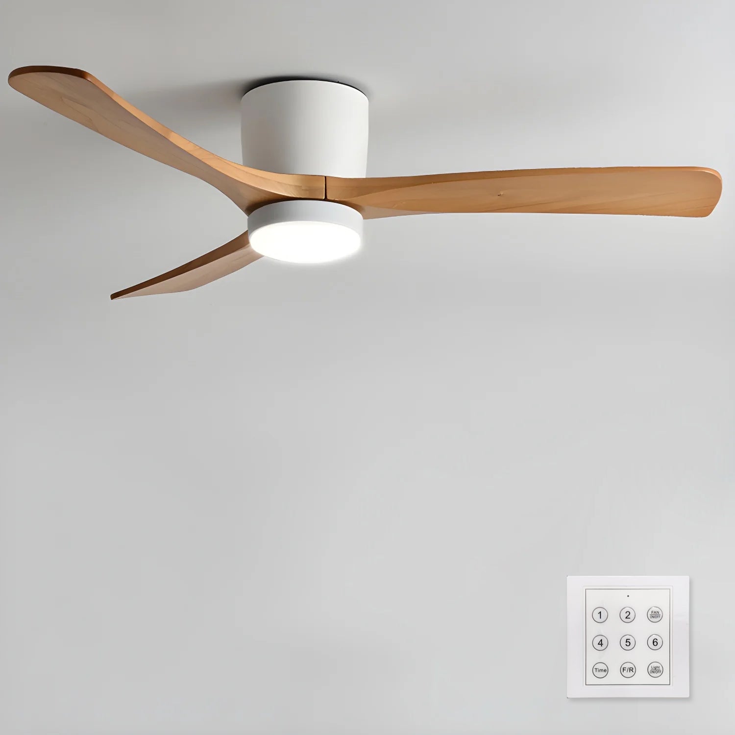 Elaerine Ceiling Fan Light