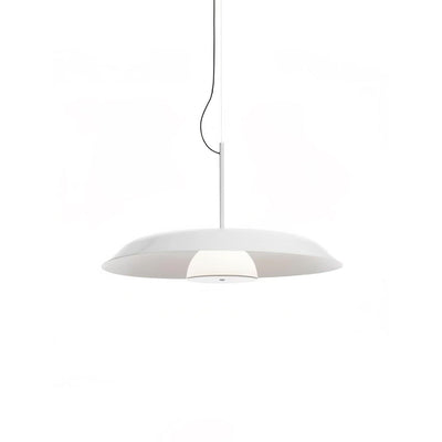 Calyx Acrylic Artistic Pendant Lamp