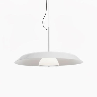 Calyx Acrylic Artistic Pendant Lamp