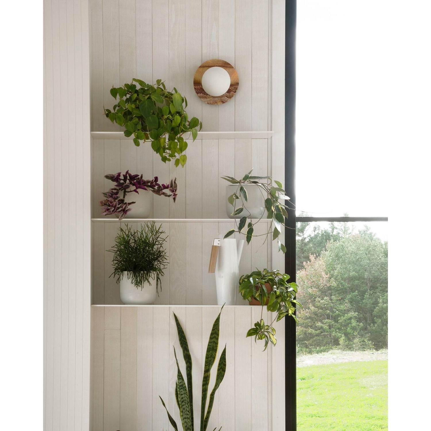 Ovyna Wall Lamp