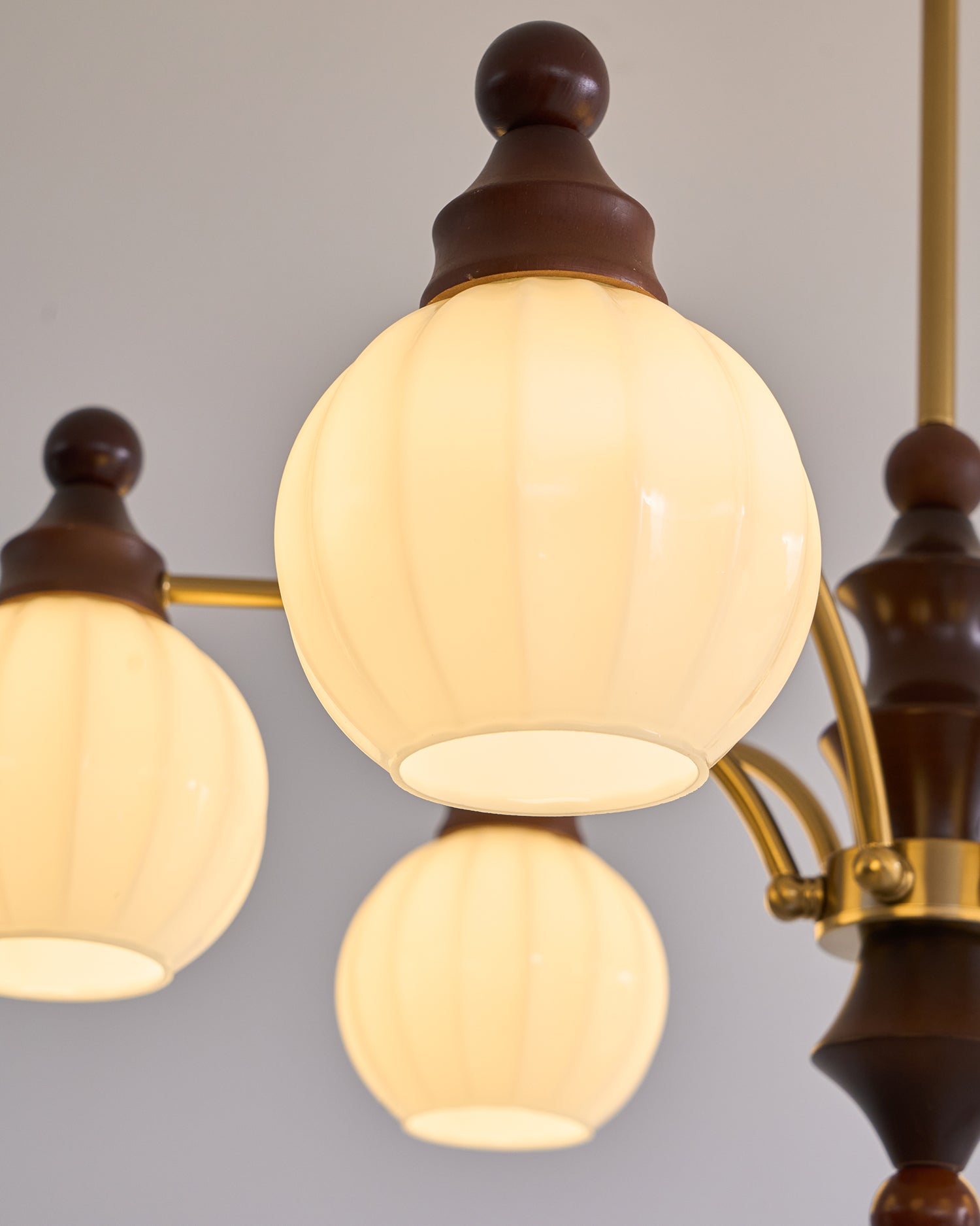 Jago Chandelier Blossom with Glass Shades