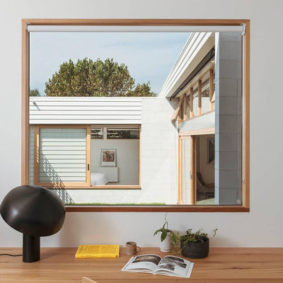 Kite Organic Brass Desk Lamp