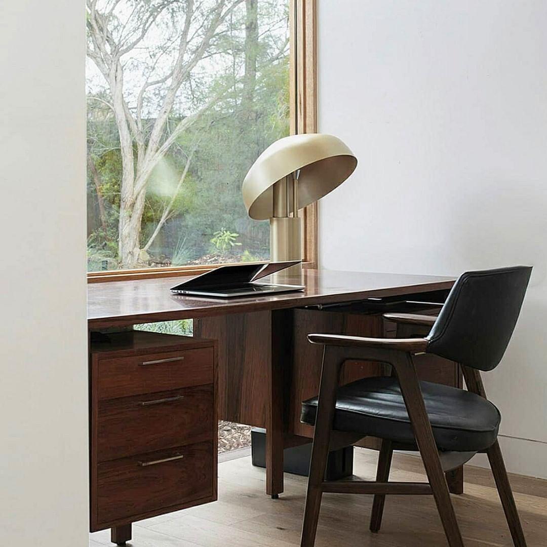 Kite Organic Brass Desk Lamp