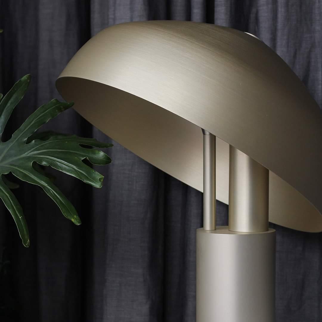 Kite Organic Brass Desk Lamp