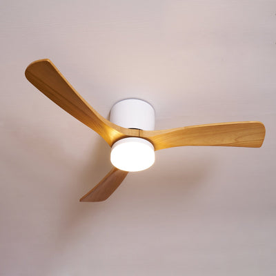 Elaerine Ceiling Fan Light
