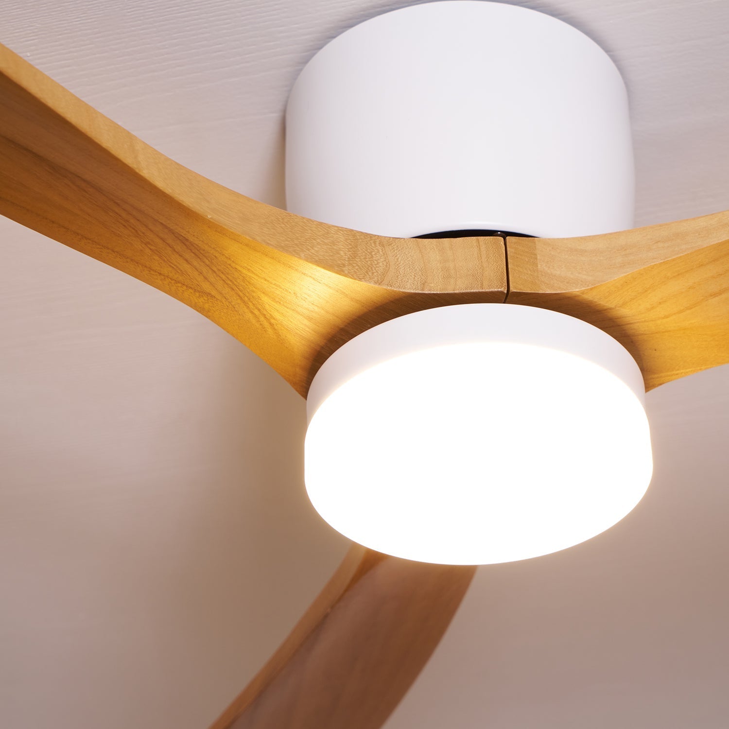 Elaerine Ceiling Fan Light